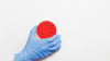 How To Study Microbiology