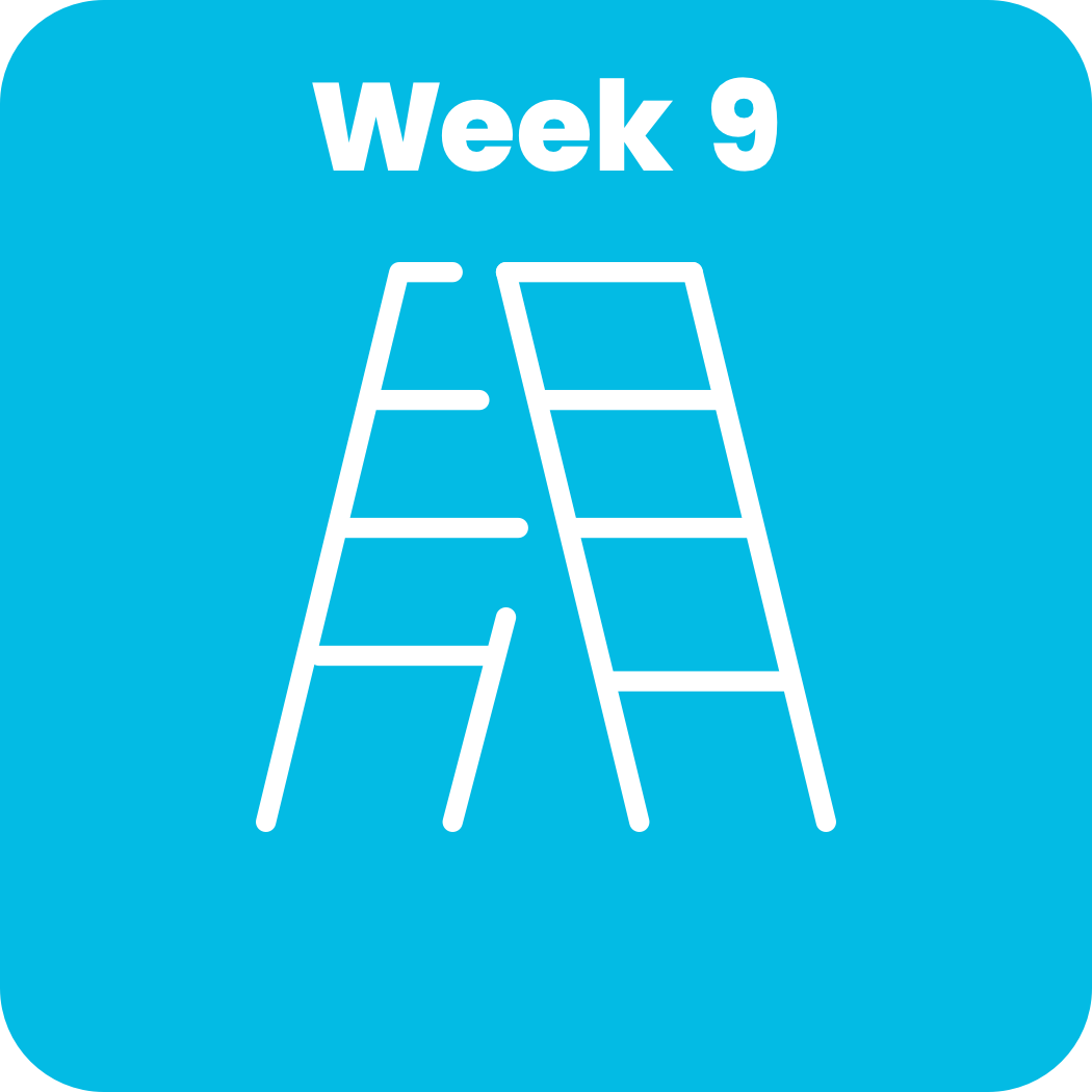 09_Course_Image_IB_Bureaucracy_1050x1050